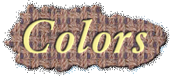 Clothing Colors