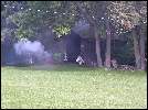 Loyalists At Battle