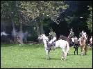 Dragoons Waiting to Charge