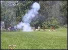 Colonial Forces
